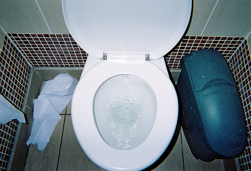 Flushing toilet with paper and bin